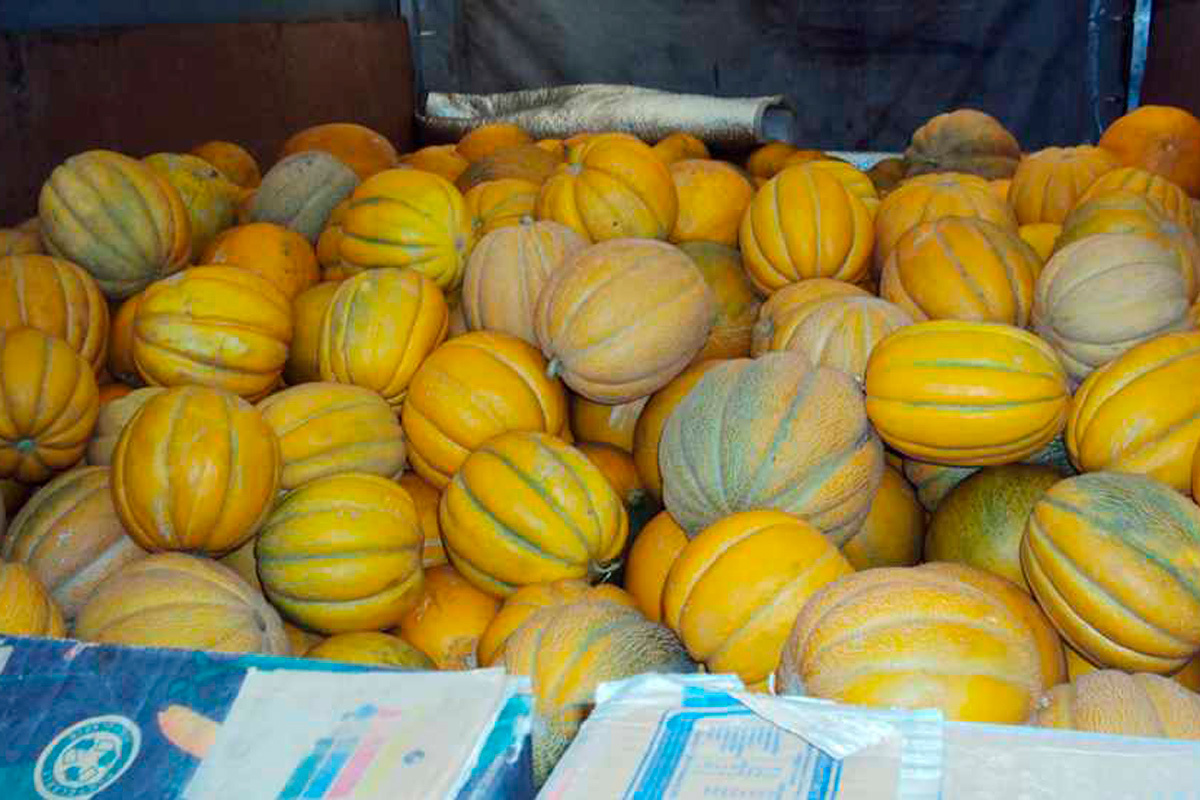    Фото: Россельхознадзор