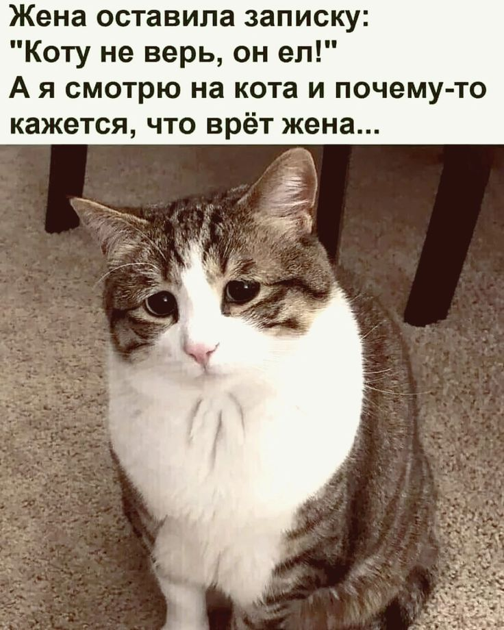 Яндекс.Картинки