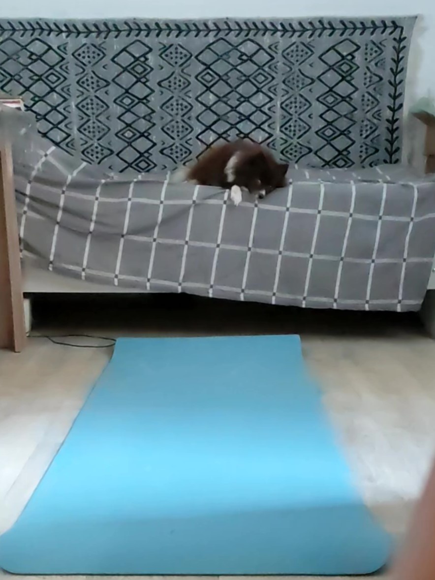 Шо, опять? Не, сегодня я пас!