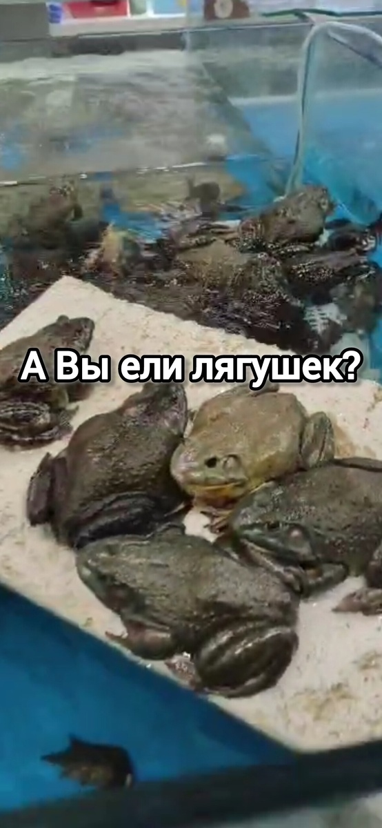 Прилавок в кафе. Выбирай любую!