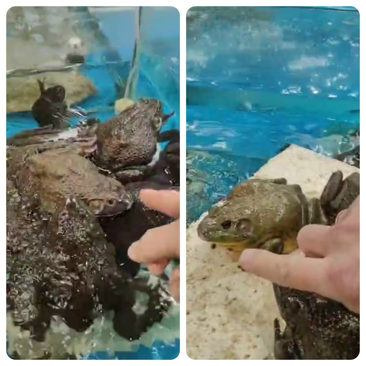 Выбор сделан