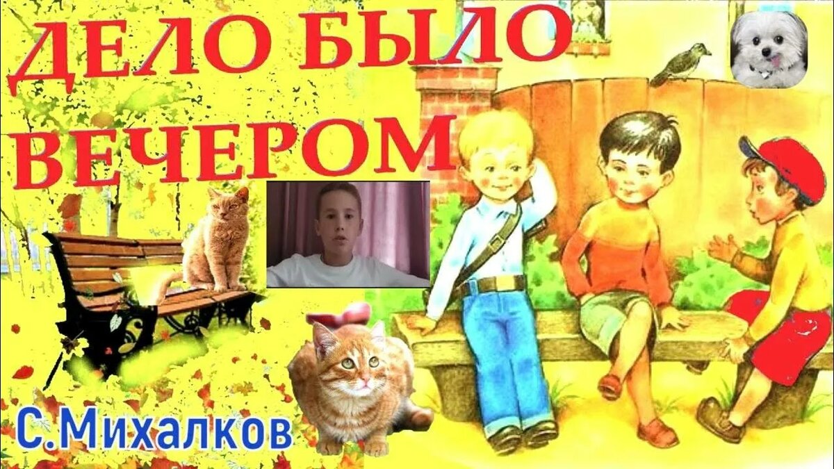 из интернета