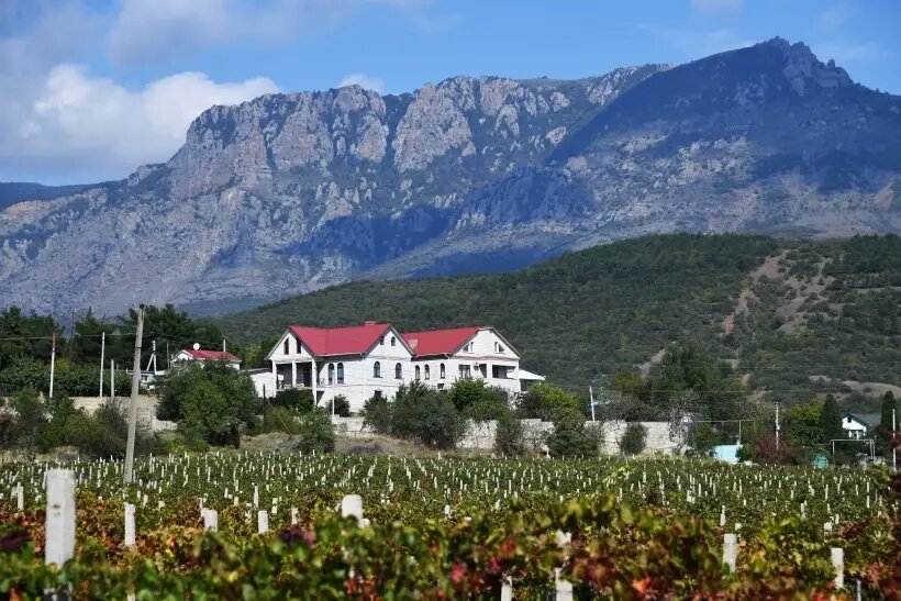     Виноградник возле Алушты. © РИА Новости. Алексей Мальгавко