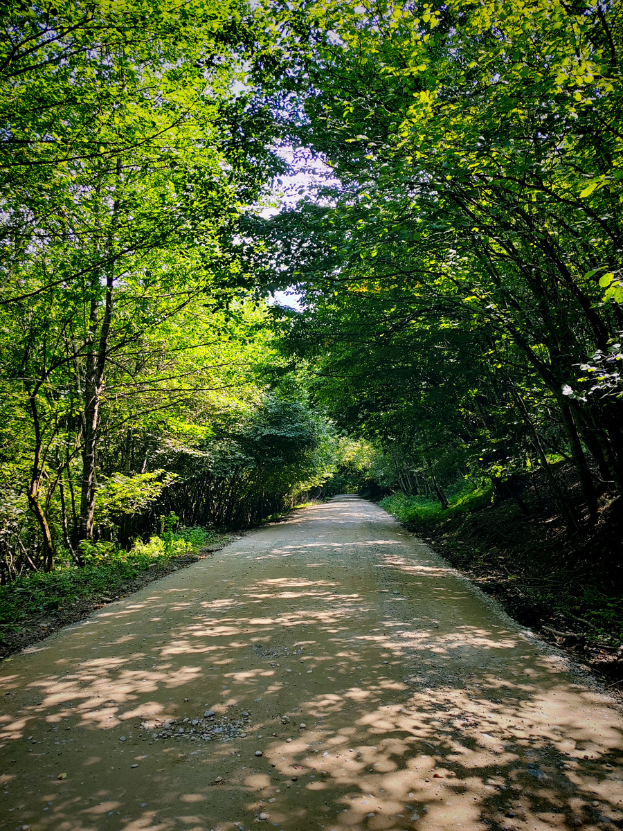 Гравийная дорога между поселком Перевалка и селом Никитино. Фото атвора. Листайте -->>