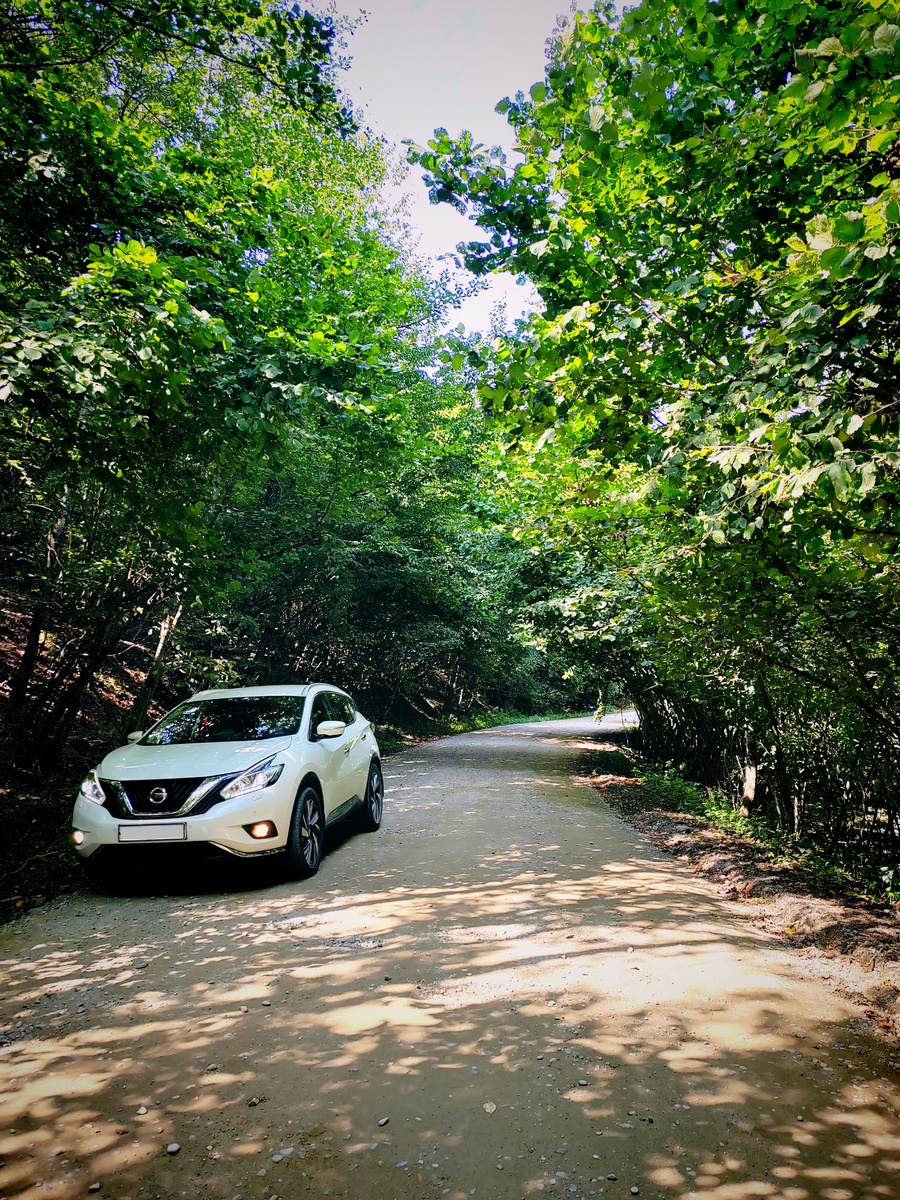 Гравийная дорога между поселком Перевалка и селом Никитино. Фото атвора