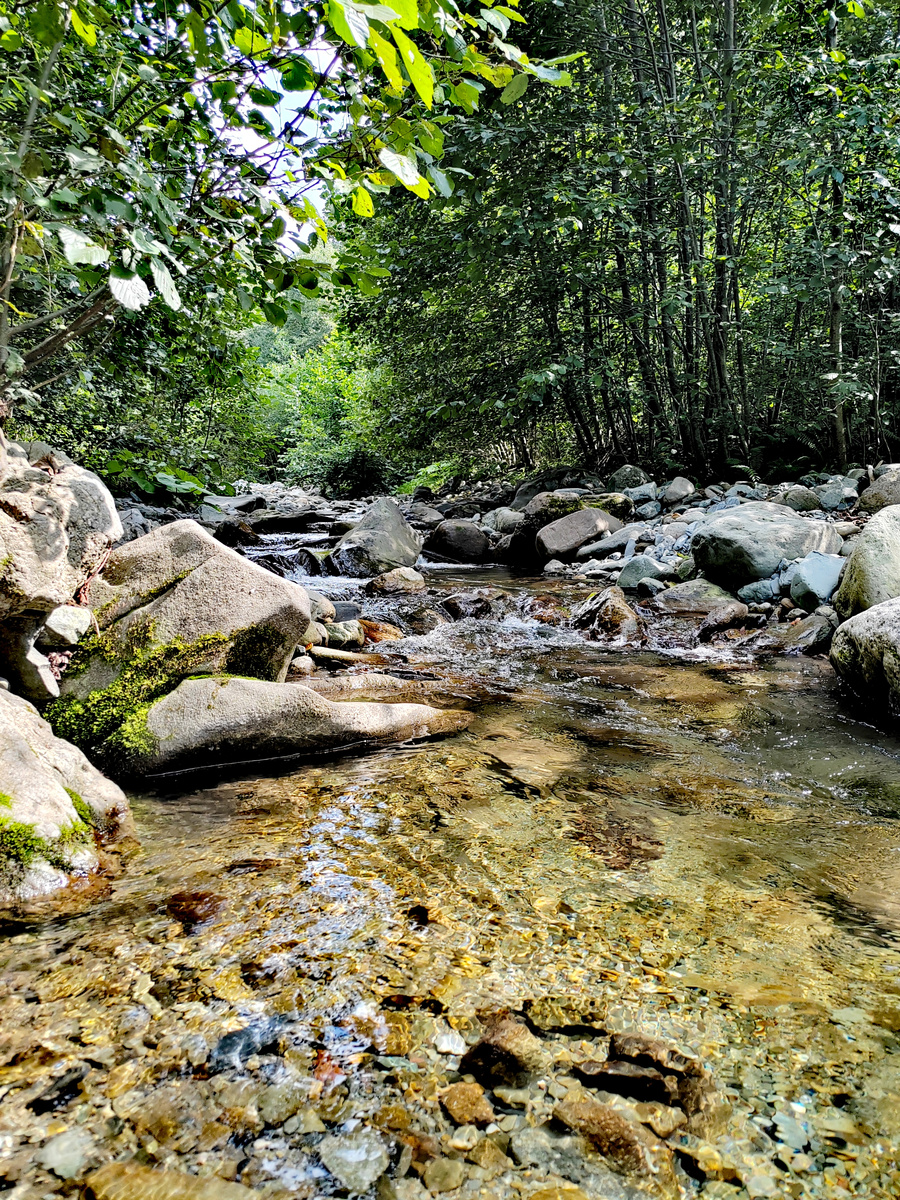 Река Никитина в самом начале пути на Никитинские водопады. Фото автора