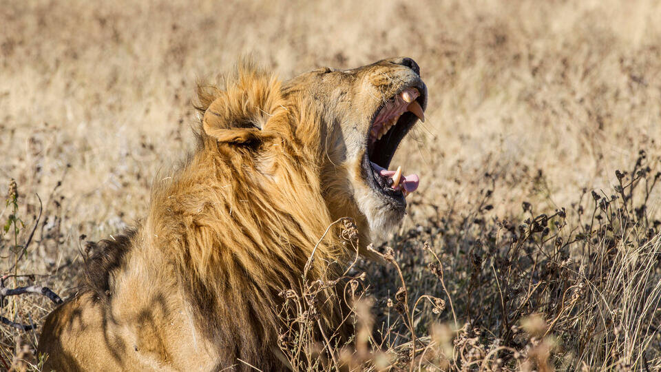 Фото: © www.globallookpress/Herbert Kratky