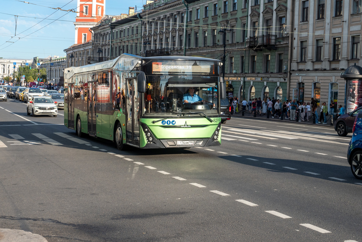 Фото: Олег Золото / «Петербургский дневник»
