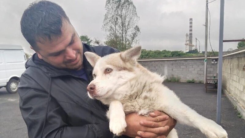      Фото: Управление ветеринарии Северной Осетии