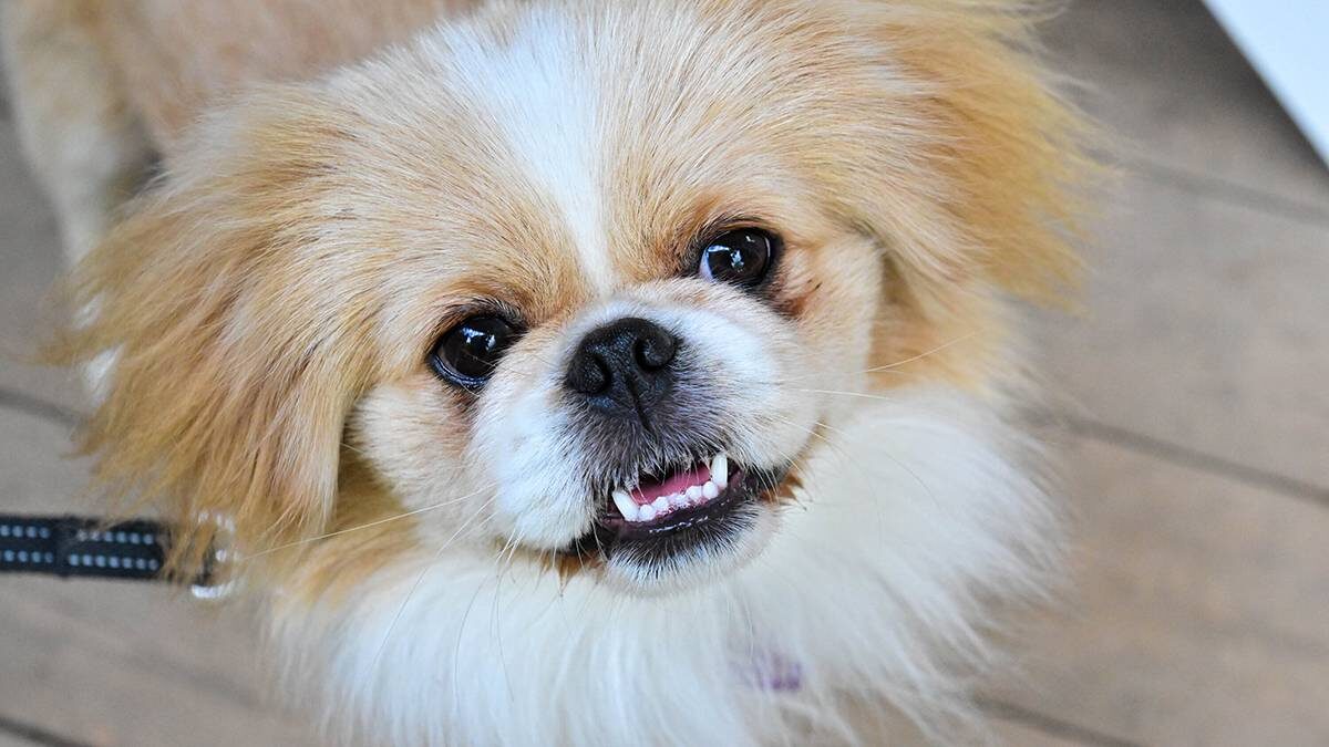    Фото: Сергей Киселев / АГН Москва