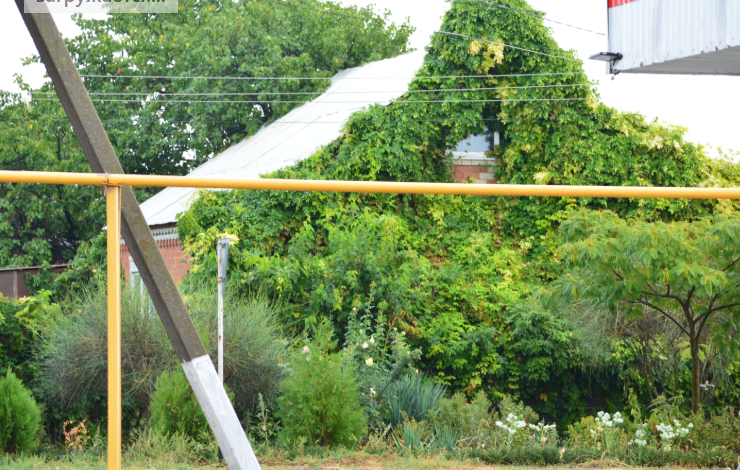 Фото автора. 10.09.2025. Станица. Зелёный дом умытый дождём.