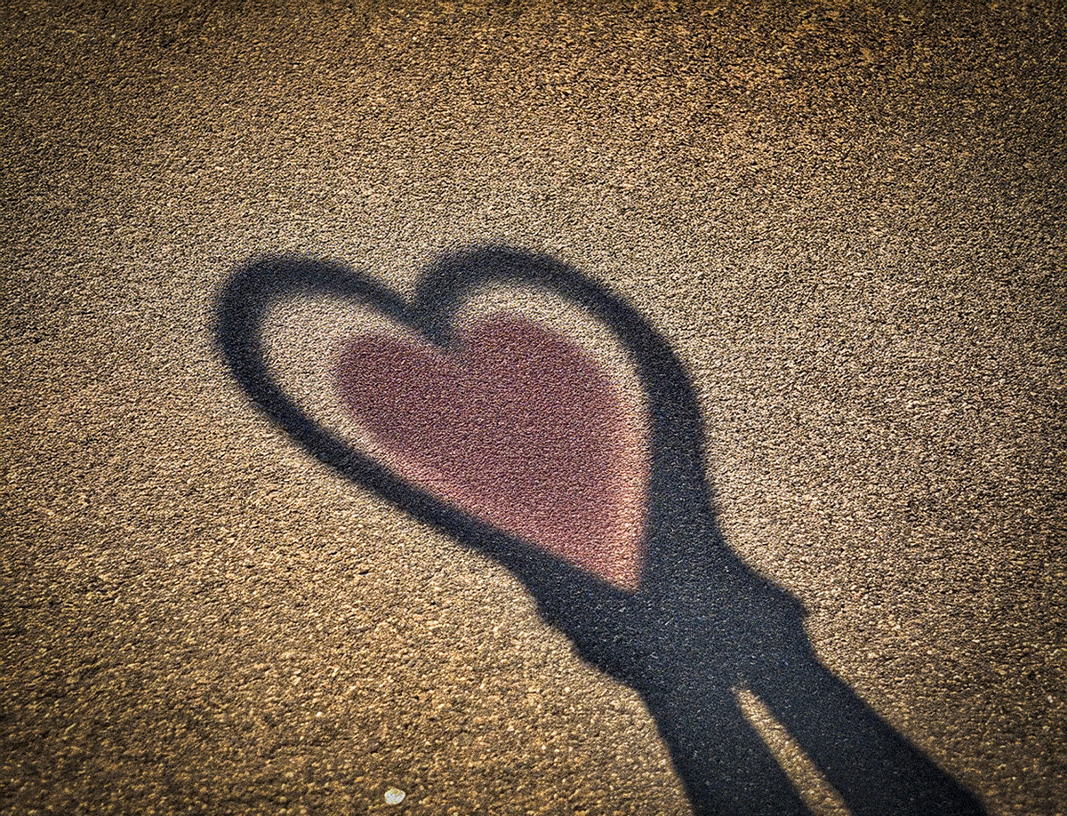 владелец изображения Виктория Н.