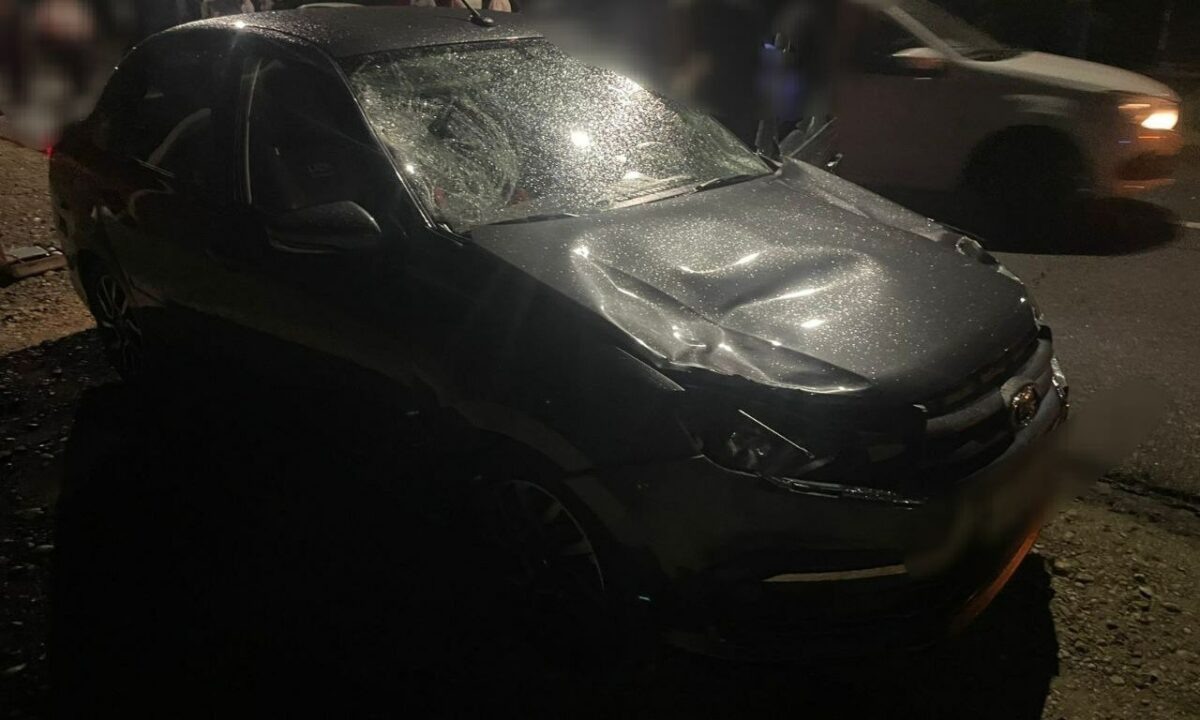    Фото t.me/mvd_23