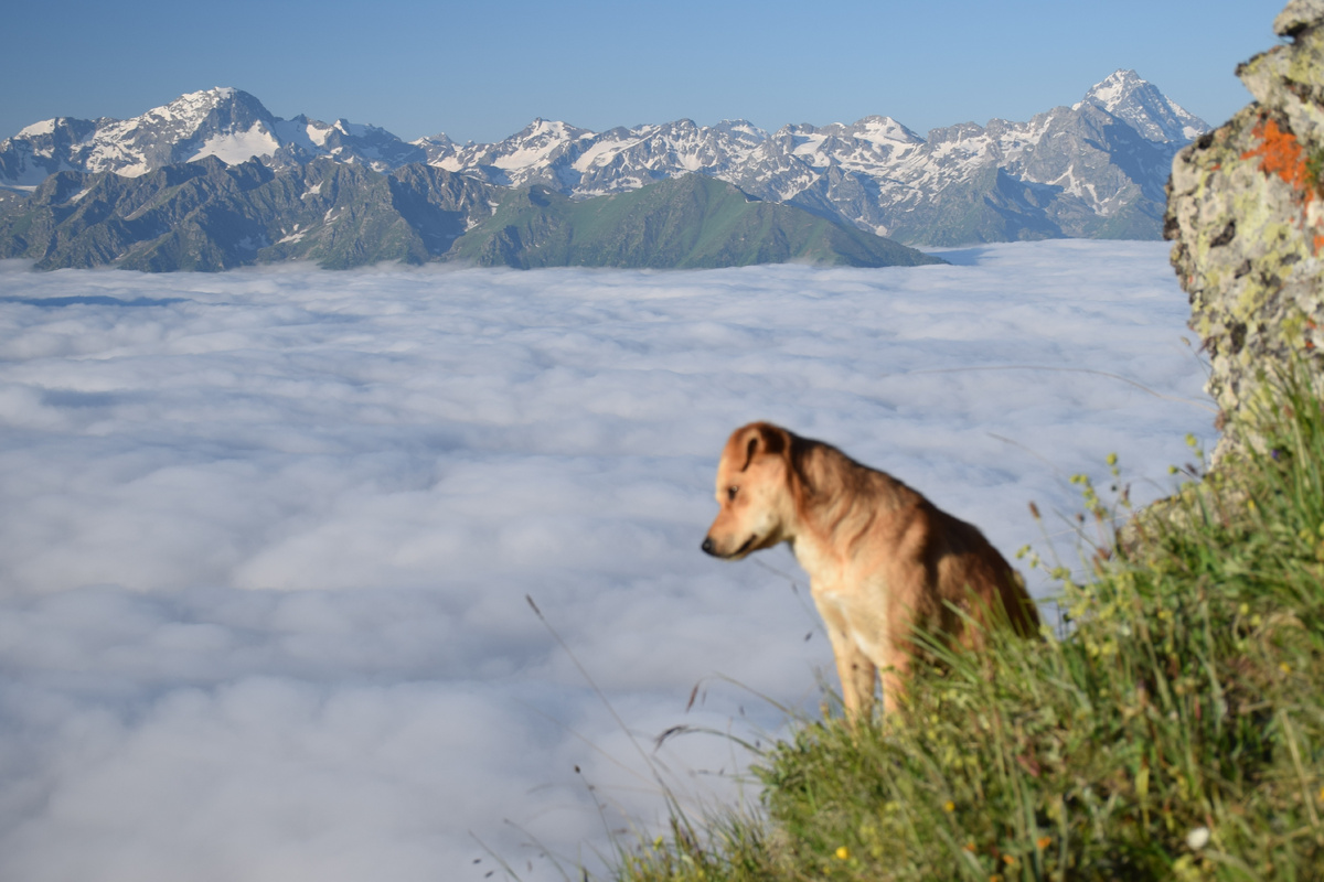 Архыз. Фото Костарнова Н.