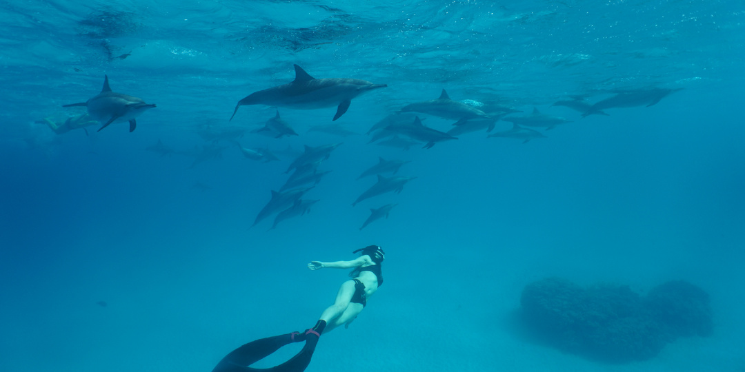 Нырок в новую жизнь: как фридайвинг изменил все