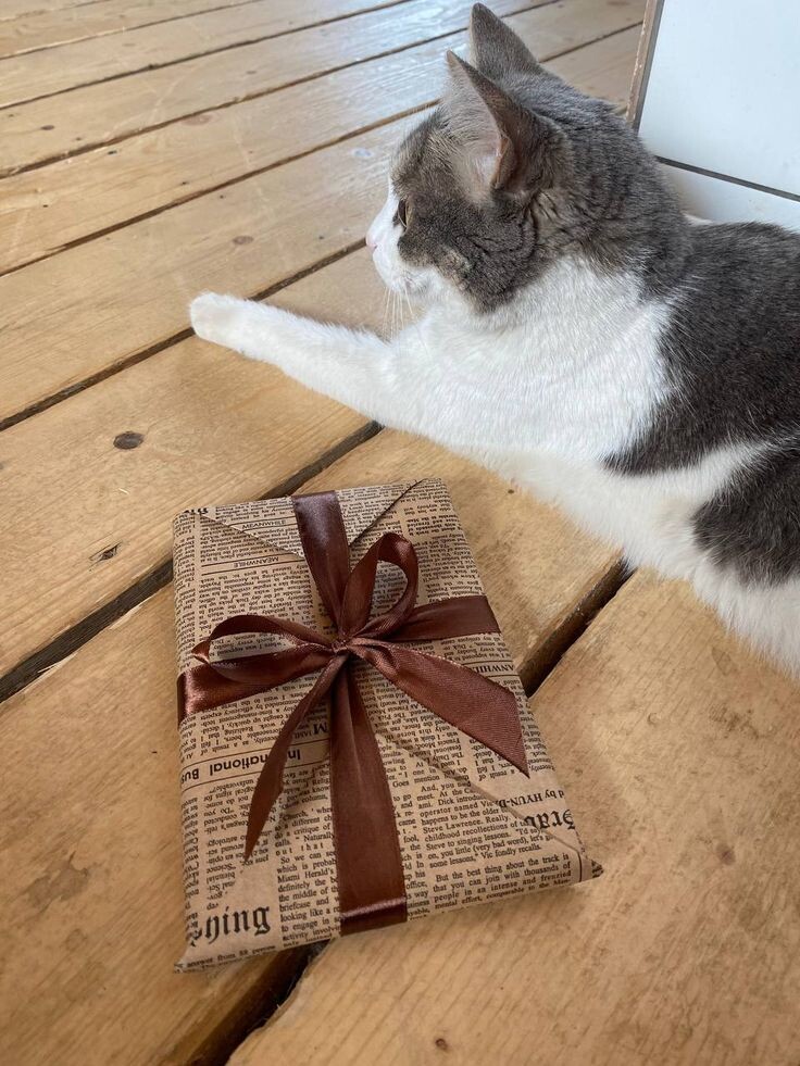 Секреты красивой упаковки: идеи с крафт пакетами