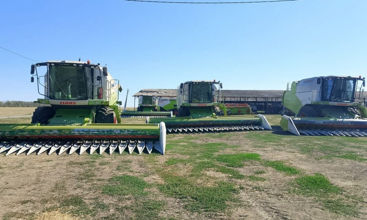    Фото пресс-службы министерства экономики Краснодарского края