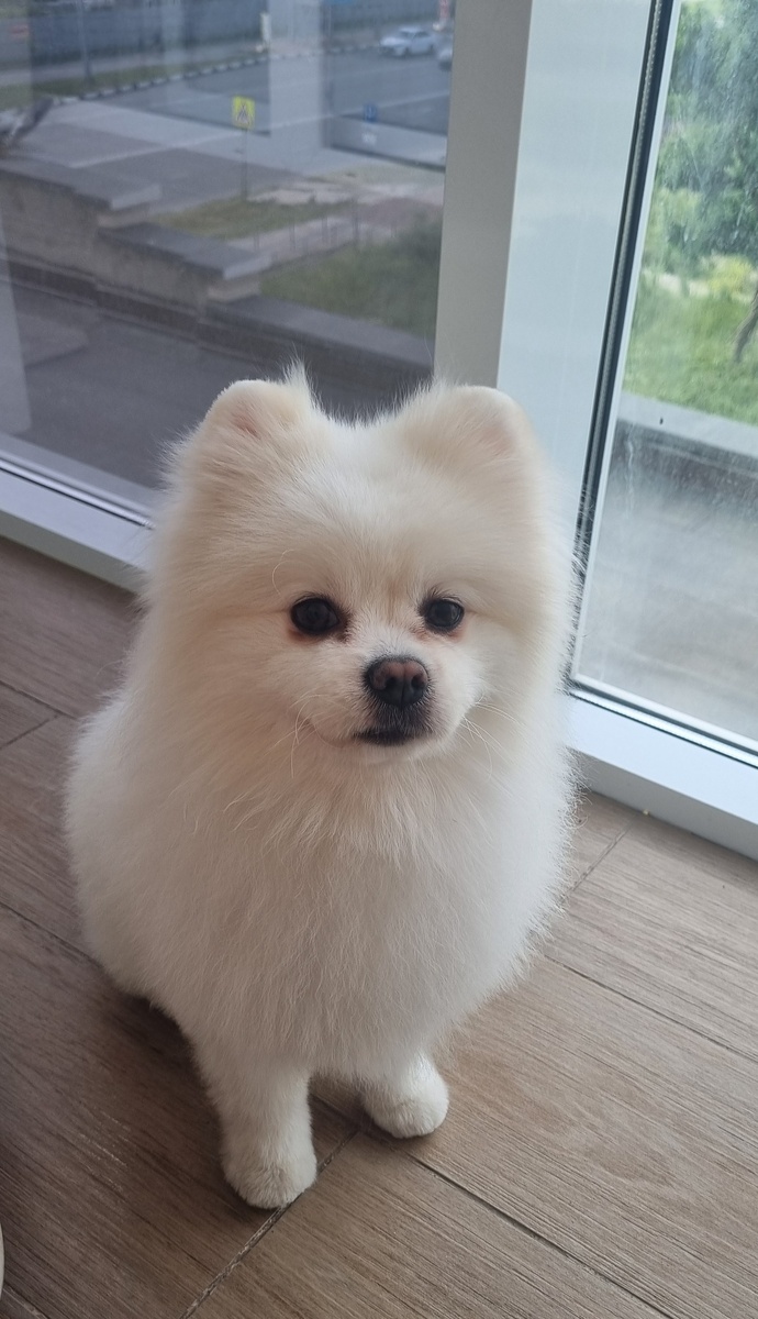 Мальчик - награда:)