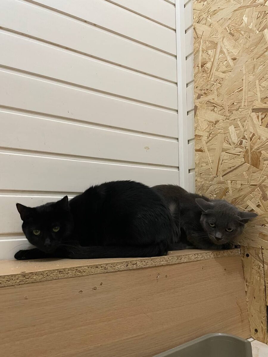 Подросли ребятки!