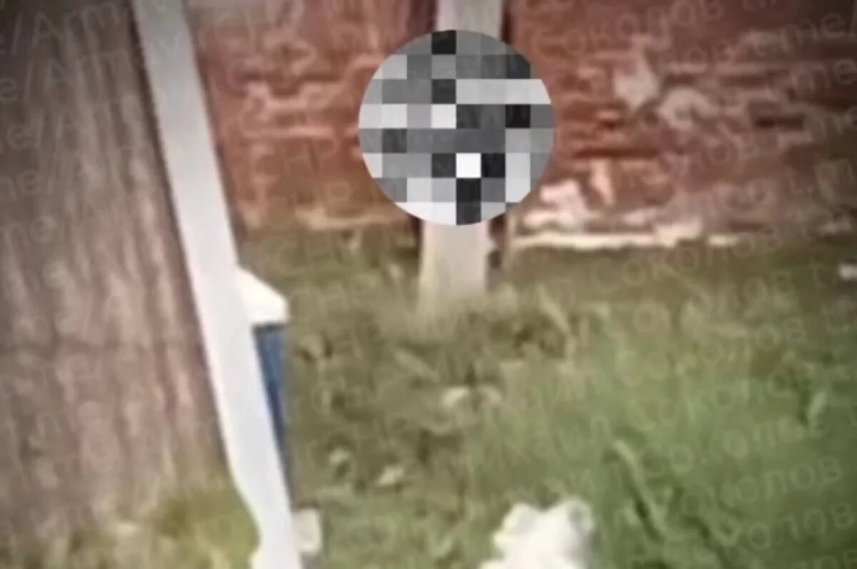    В Армавире мужчина оголился и справил нужду на территории казачьей школы