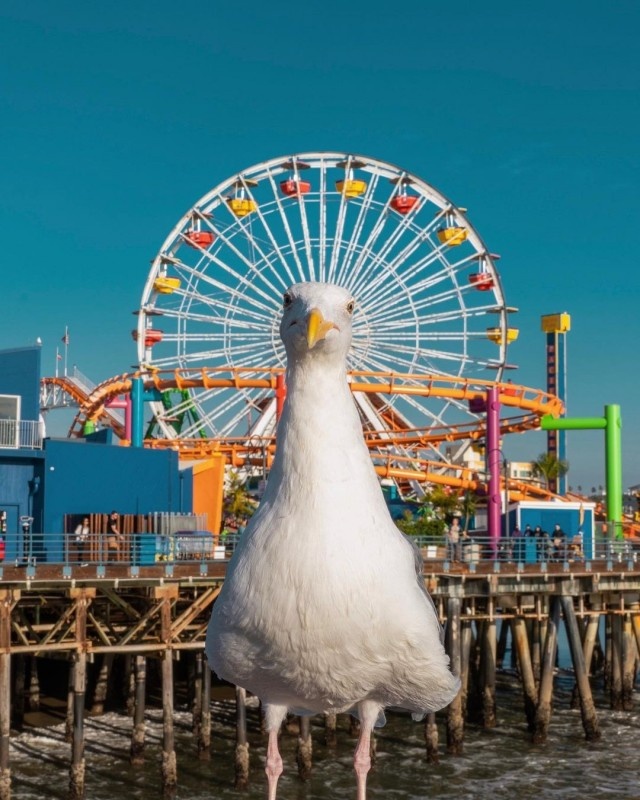 Фотограф Кайл Хубер (Kyle Huber)