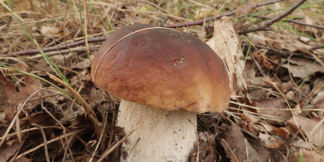 Конец - это новое начало. Ходили, ходим и будем ходить!