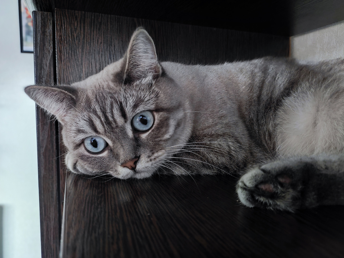 Фото автора 