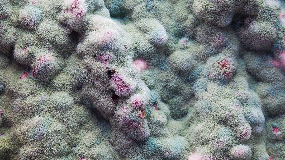    Фото: Shutterstock