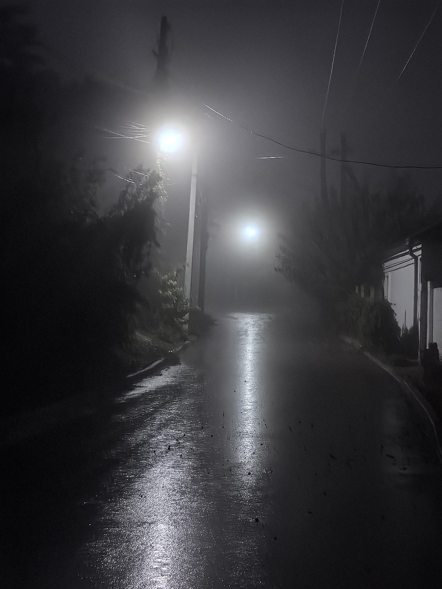 Немного зябко