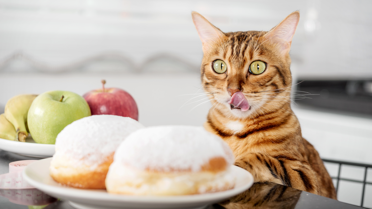 Не отказывайте себе в сладком, просто замените его 
