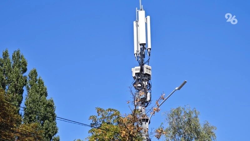      Фото: ИА «Победа26»