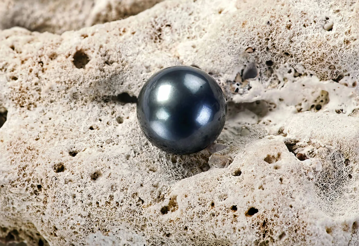 Фото из сети интернет, свободный доступ.