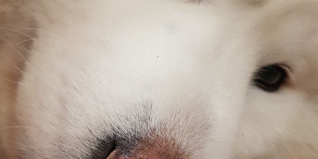 Иногда такое случается