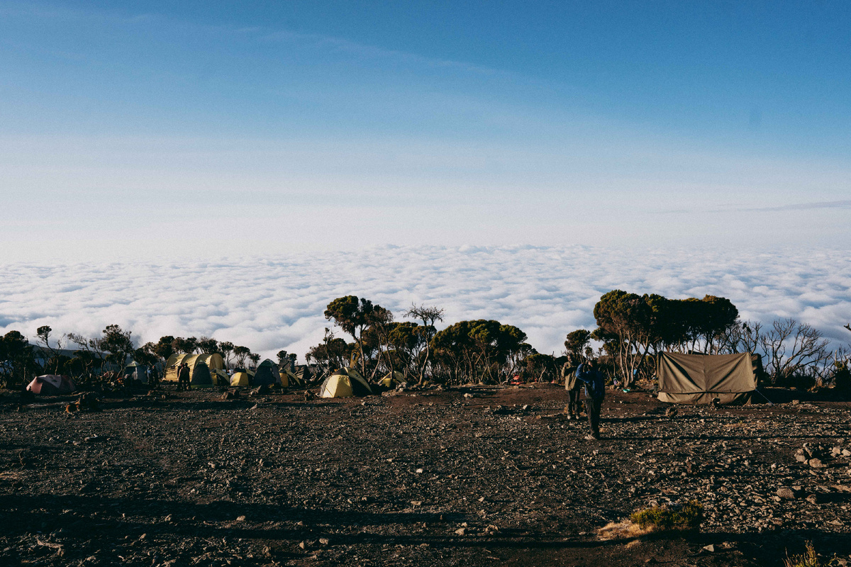 Килиманджаро – самая высокая гора Африки. Фото: Altezza Travel