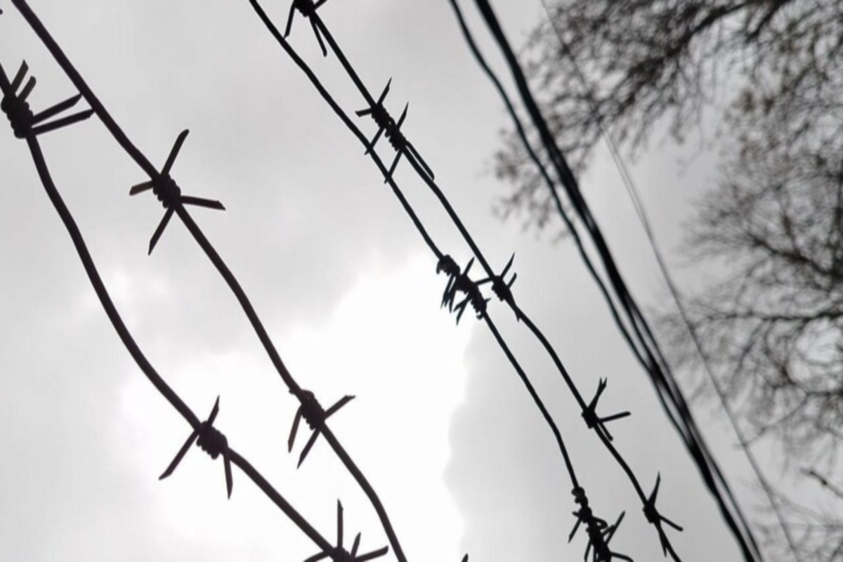    Фото: Телеканал Краснодар, источник: tvkrasnodar.ru