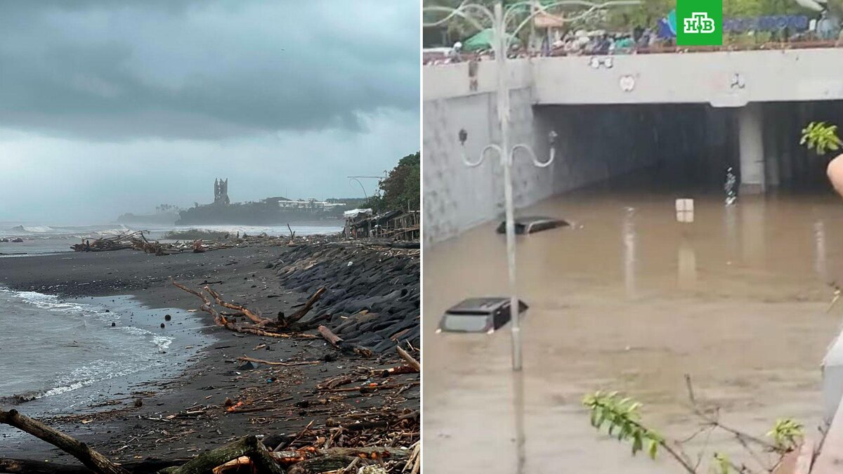    Фото: balichat / t.me