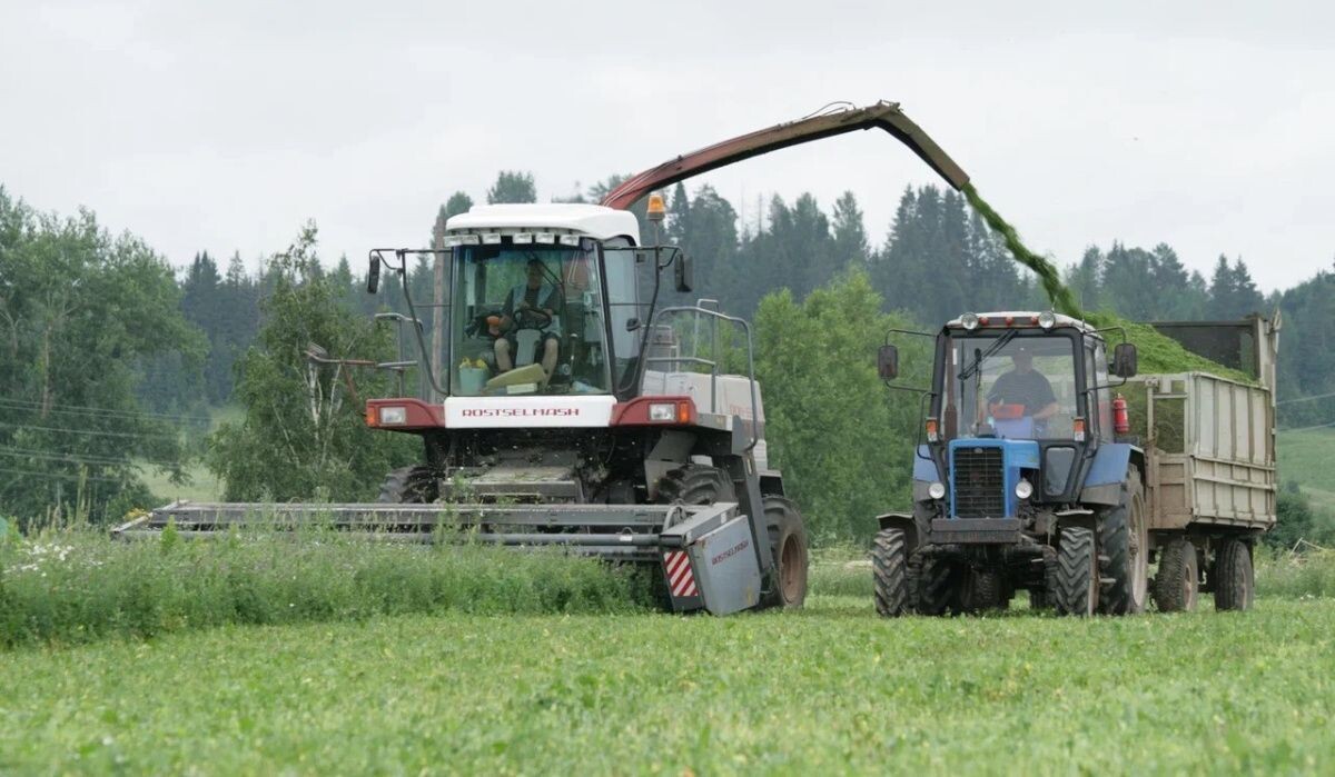     Заготовка ВТМ. Источник: dixinews.ru Автор фото: Никита Белых