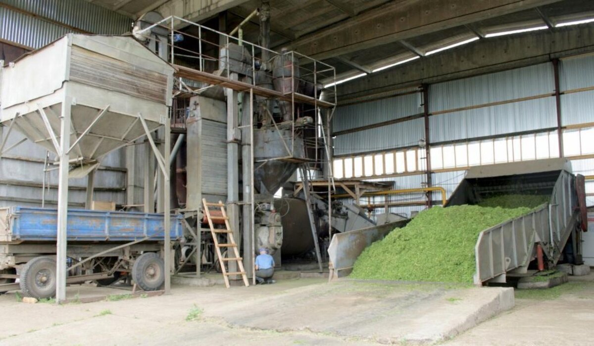    АО "Птицефабрика Чайковская" заканчивает заготовку витаминно-травяной муки