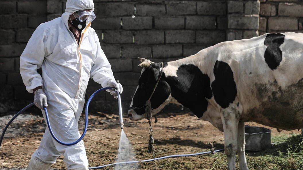    Фото: Ameer Al-Mohammedawi/dpa/Globallookpress