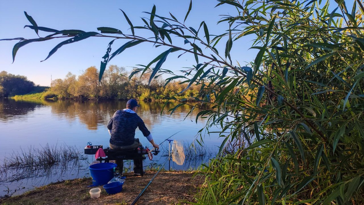 Фидер на Правошне в сентябре (07.09.2025)
