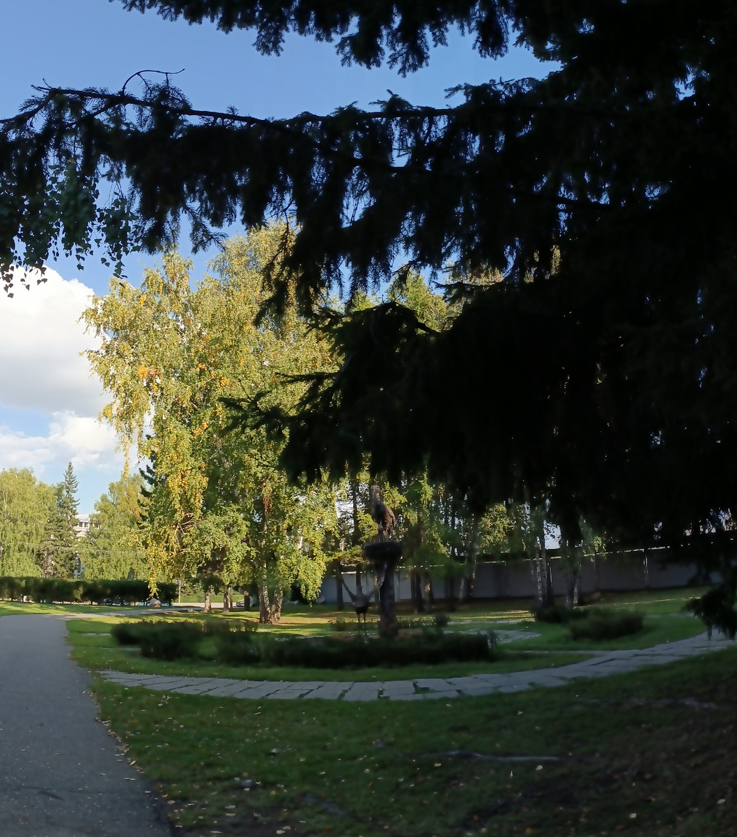 Где-то на просторах моего города. Фотография автора, сентябрь 2025 года. 