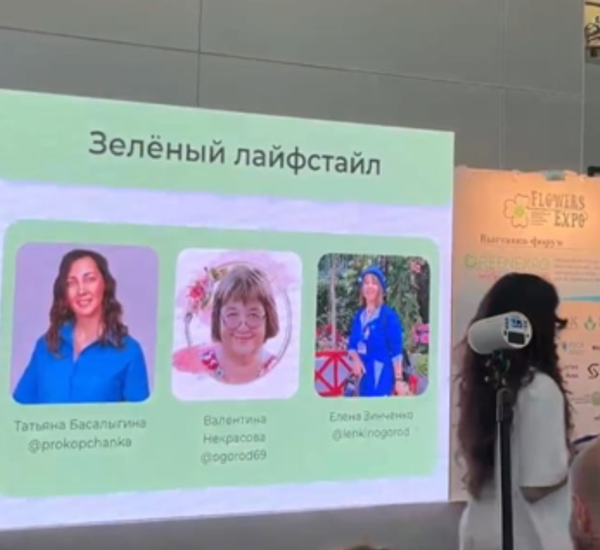 Лауреаты номинации Зелёный лайфстайл. Скрин автора с прямого эфира