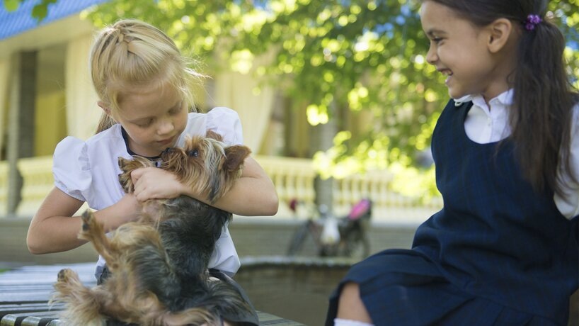    Фото: 123RF/miraclemoments