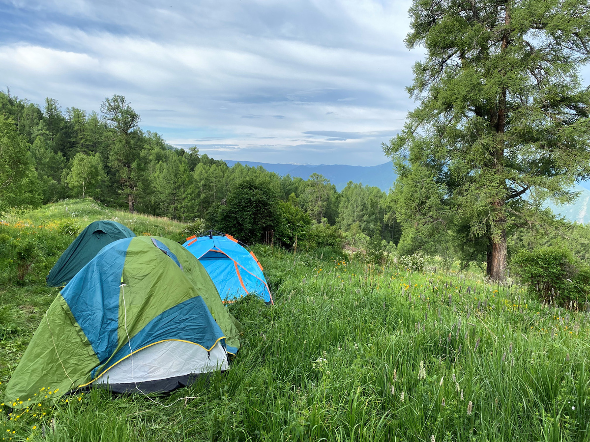 Фото нашего лагеря из экспедиции в Алтайскую тайгу (рассказываю про это на канале).