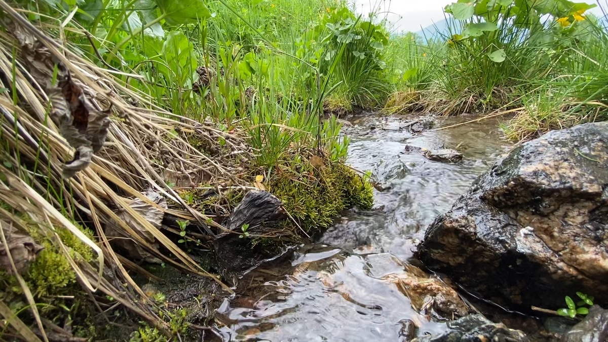 Фото горного ручья рядом с нашим лагерем.
