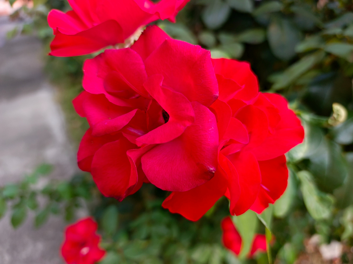 Адлер, сентябрь 2025 года