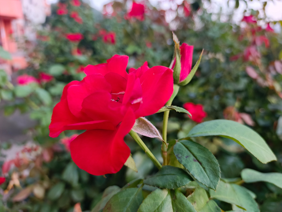 Адлер, сентябрь 2025 года