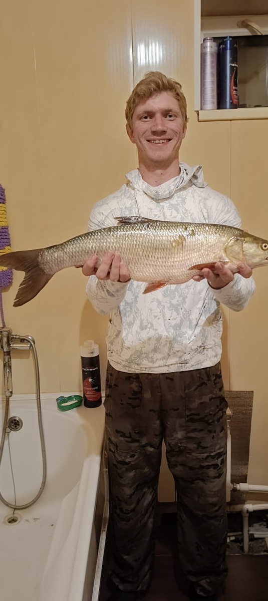 Осень — время перемен на рыбалке. Вода остывает, дневной свет становится короче, и жерех меняет своё поведение. Если летом он активно «играет» на поверхности, выдавая себя всплесками и атаками малька, то осенью эта картина почти исчезает. Но это не значит, что жереха не поймать.