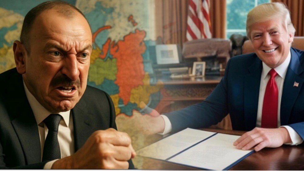 Коллаж Novorosinform