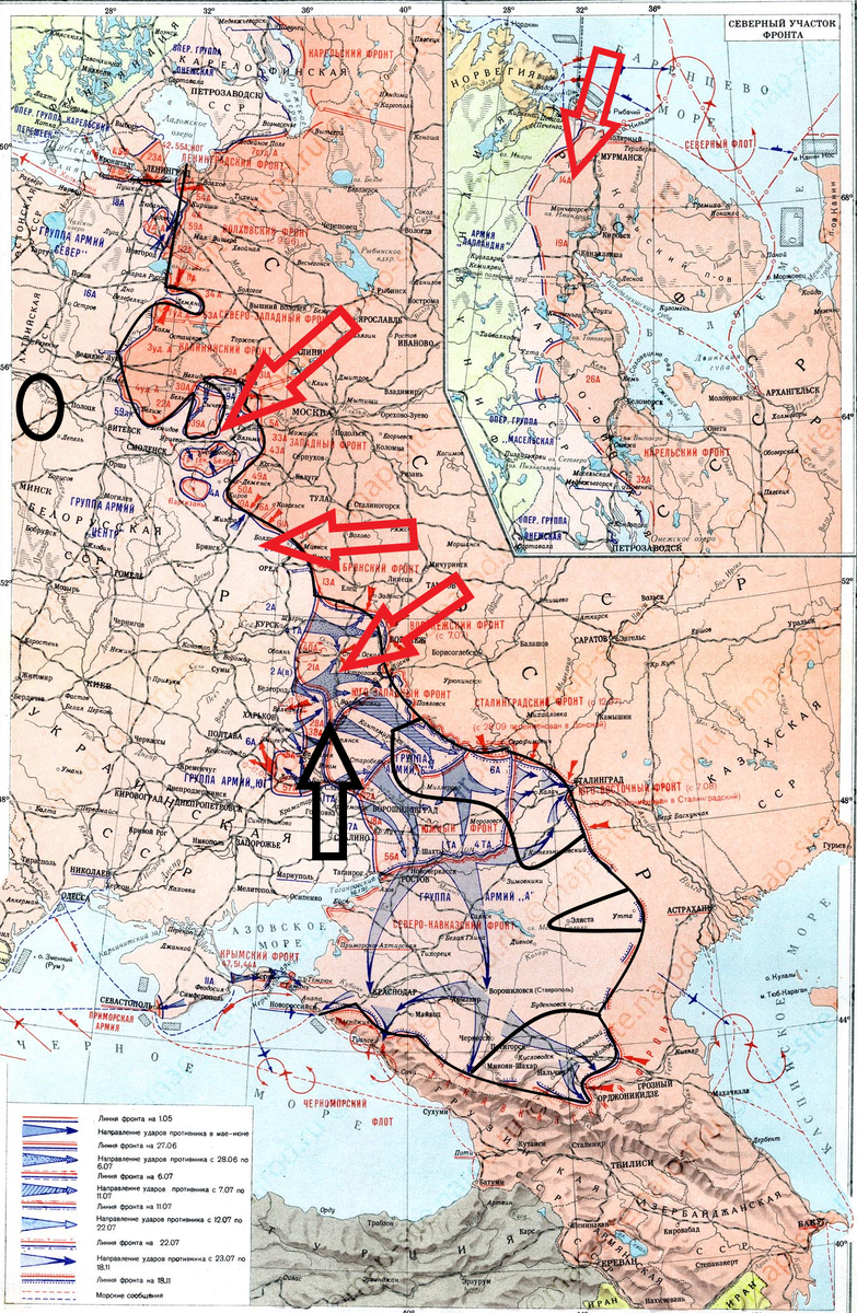 (Фото взято из открытых источников).